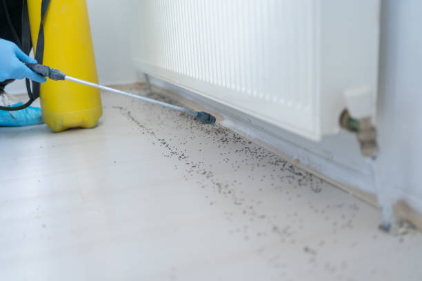 Best Affordable Exterminators  in Goodman, MS